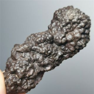 49g Rare Carbonado Black Diamond Meteorite Rare Specimen W868 2