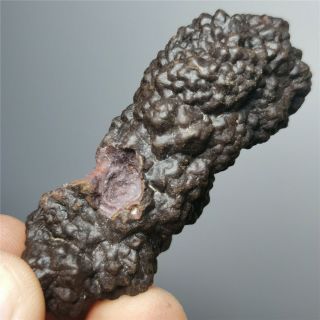 49g Rare Carbonado Black Diamond Meteorite Rare Specimen W868 3