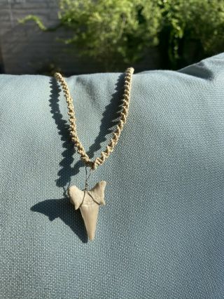 Shark Tooth Pendant Surfer Necklace 18 
