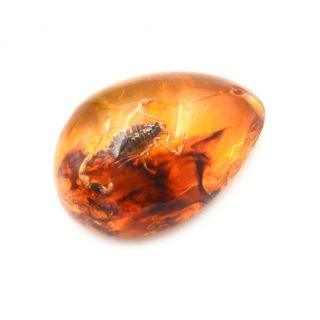 1Pc Fashion Insect Stone Scorpions Inclusion Amber Baltic Pendant Necklace EHHH 3