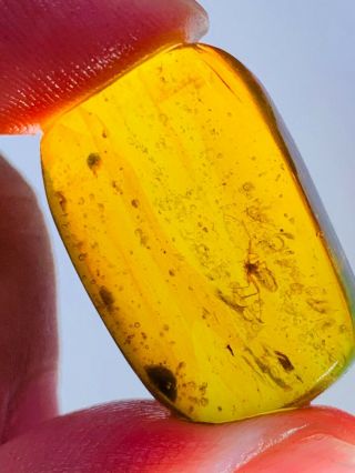 2.  76g spider&wasp bee Burmite Myanmar Burmese Amber insect fossil dinosaur age 2