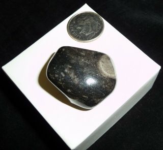Vatican Tumbled Chakra Stone England 16 grams 2