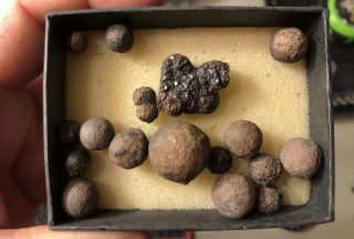 REILLY’S ROCKS: 16 Moqui Marbles,  Iron/Hematite Concretions,  Arizona 2