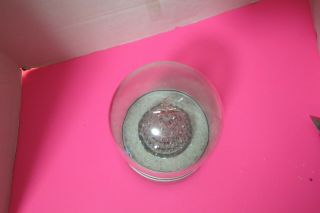 Musical Lighted Christmas Tree In Plastic Dome 8 " Tall Holiday See Video