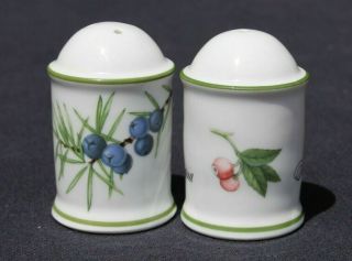 Apilco French Porcelain Elysian Garden Salt & Pepper Set Ronald Van Ruykenvel