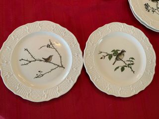 2 Vtg Delano Studio Hand Painted 10 Inch Plates Bird Song Sparrow And Wren
