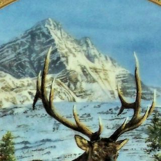 MOUNTAIN REPOSE Plate High Country Pride Bull Elk Bruce Miller Danbury Pine 2