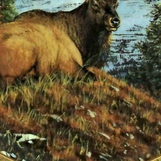 MOUNTAIN REPOSE Plate High Country Pride Bull Elk Bruce Miller Danbury Pine 3