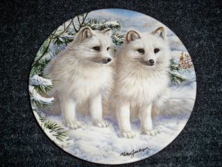 Collectors Plate " Artic Fox Cubs  The Beauty Of Polar Wildlife " Royal Grafton