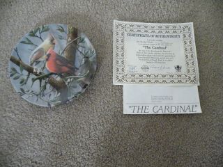 Edwin Knowles Kevin Daniels/cardinal Plate/birds Of Your Garden/coa