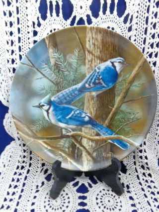 The Blue Jay Plate With,  Kevin Daniel Plate,  Bird Plate,  Vintage Porcelain P