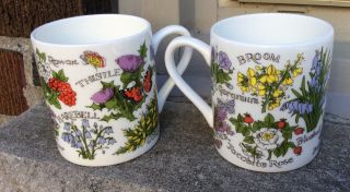 Pat Albeck - Wild Flowers Of Scotland 2 Coffee Mugs National Trust