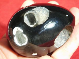 A Larger Egg Sculpture Made From 100 Natural Mexican Obsidian 263gr
