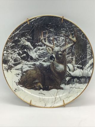 Pride Of The Wilderness Winter Stag Danbury Plate No Box Or