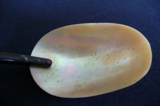 Vintage Natural Sea Shell Spoon w/Inlaid Designs in Handle app.  8 