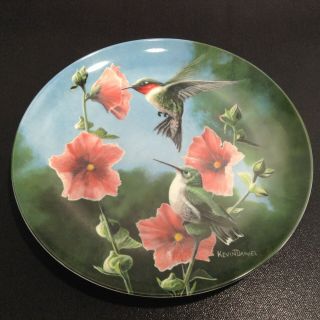 Vintage Edwin M.  Knowles " The Hummingbird " By Kevin Daniel 8.  5 " Collector Plate