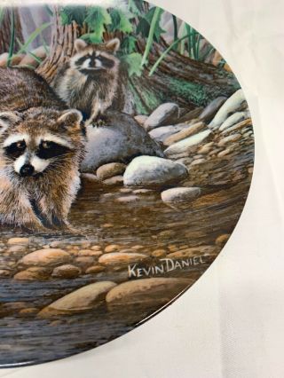 Knowles THE RACCOON Friends of the Forest by Kevin Daniel Plate 8.  5 2