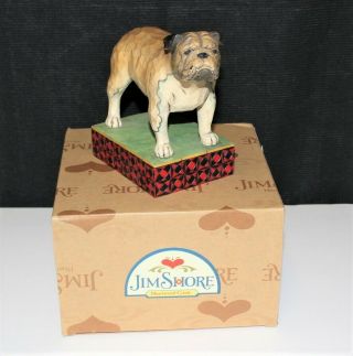 Jim Shore 2007 " Chesty " Bulldog Dog Figurine 4009743 With Box