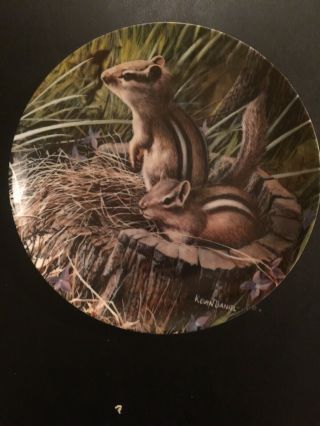 Knowles The Chipmunk Friends Of The Forest Plate By Kevin Daniel 8.  5 Inch