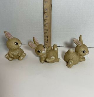 Set Of 3 Vintage Homco Porcelain " Bunny Rabbits " Figurines No.  1442 Euc