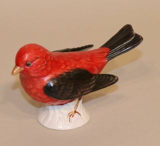Goebel Bird Figurine Scarlet Red Tanager 38504 Tmk - 5