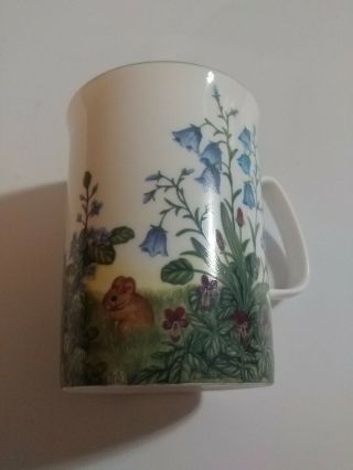 Rose Of England " Little Mouse In The Garden " Fine Bone China 8 Oz Cup