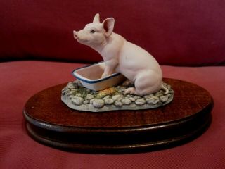 Wonderful Border Fine Arts Figurine Entitled Feed Time B0006 Piglet Eating