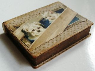 Lovely Antique Book Shaped Cardboard Box Cute Little Dog & Cat Die Cut On Lid