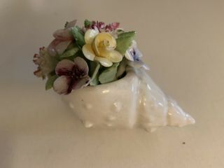 Vintage Royal Adderley Bone China Porcelain Flowers In Shell England