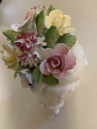 Vintage Royal Adderley Bone China Porcelain Flowers in Shell England 2