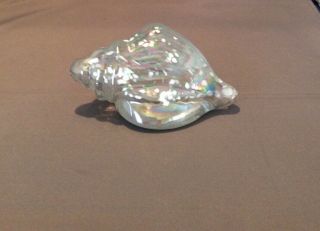 Vintage Conch Seashell Shell Art Glass Paperweight Iridescent Clear 5.  5”