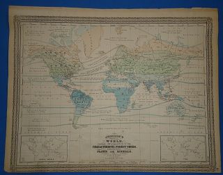 Vintage 1873 World Forest Plants Minerals Map Old Antique Johnson 