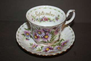 Vtg Royal Albert Flower Of The Month September Michaelmas Daisy Teacup Saucer 14