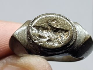 Very Rare Ancient Bronze Roman Era Seal Ring Depicting Grasshopper 13,  9 Gr 20 Mm
