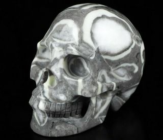 Huge 5.  0 " Rare Fossil Carved Crystal Skull,  Realistic,  Crystal Healing