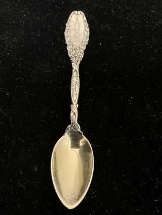 Rare Tiffany & Co.  Sterling Silver Golden Rod Demitasse Spoon