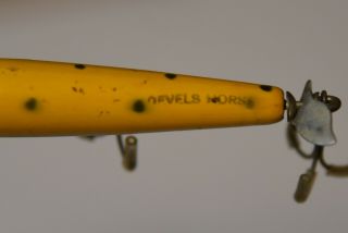 Smithwick - Devels Horse F - 100 - Yellow W/green Spots