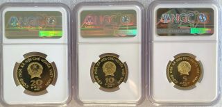 NGC - PF69UC Vietnam 1989 Brass 5 - 10 - 20 Dong Coins Proof Set RARE 2