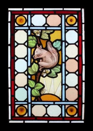 Very Rare Victorian Painted Squirrel In Foliage English Stained Glass Window