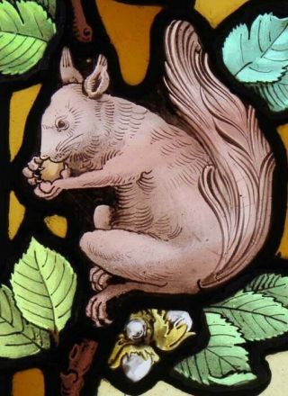 Very Rare Victorian Painted Squirrel In Foliage English Stained Glass Window 2