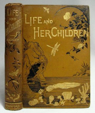 Antique 1891 Life And Her Children Natural History Marine Biology Entomology