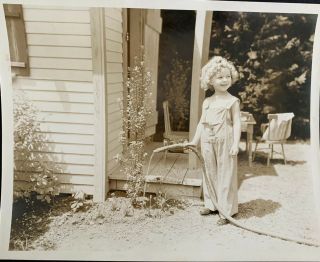 Rare Shirley Temple 8”x10” Glossy Sepia Photograph 1930s