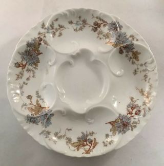 Antique Haviland Porcelain Oyster Plate With Blue Flower Decoration