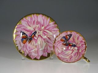 Aynsley Rare Pink Chrysanthemum & Butterfly Gold Tea Cup And Saucer,  England