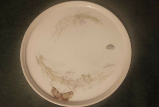 Antique Haviland & Co.  Limoges Butterfly Plate 1879 - 1899