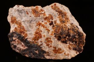 Rare Margarosanite Prehnite With Native Lead & Copper Franklin,  Nj - Ex.  Lemanski