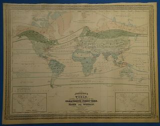 Vintage 1885 Forests Of The World Map Old Antique Johnson 