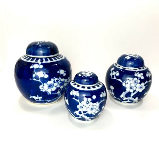 Antique Chinese Blue White Porcelain Prunus Blossom Ginger Jar Kangxi Rings Set
