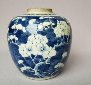 Chinese Antique Blue & White Ginger Jar With Prunus And Cracked Ice/kangxi Mark