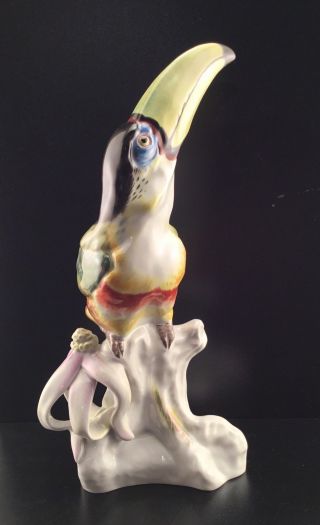 Rare Antique Meissen Porcelain Toucan With Orchid Figurine Bird Paul Walther